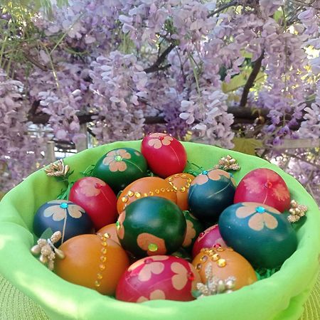 Belgrade Apartment Happy Garden المظهر الخارجي الصورة