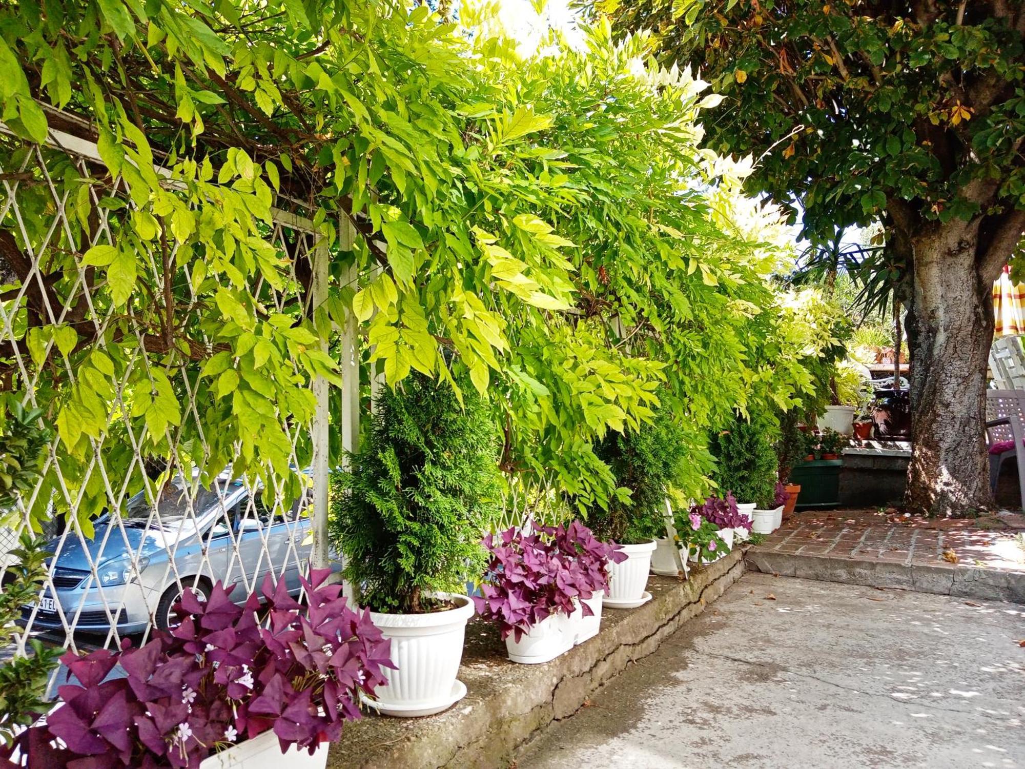 Belgrade Apartment Happy Garden المظهر الخارجي الصورة