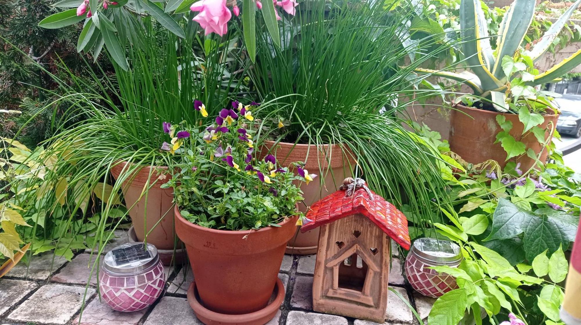Belgrade Apartment Happy Garden المظهر الخارجي الصورة