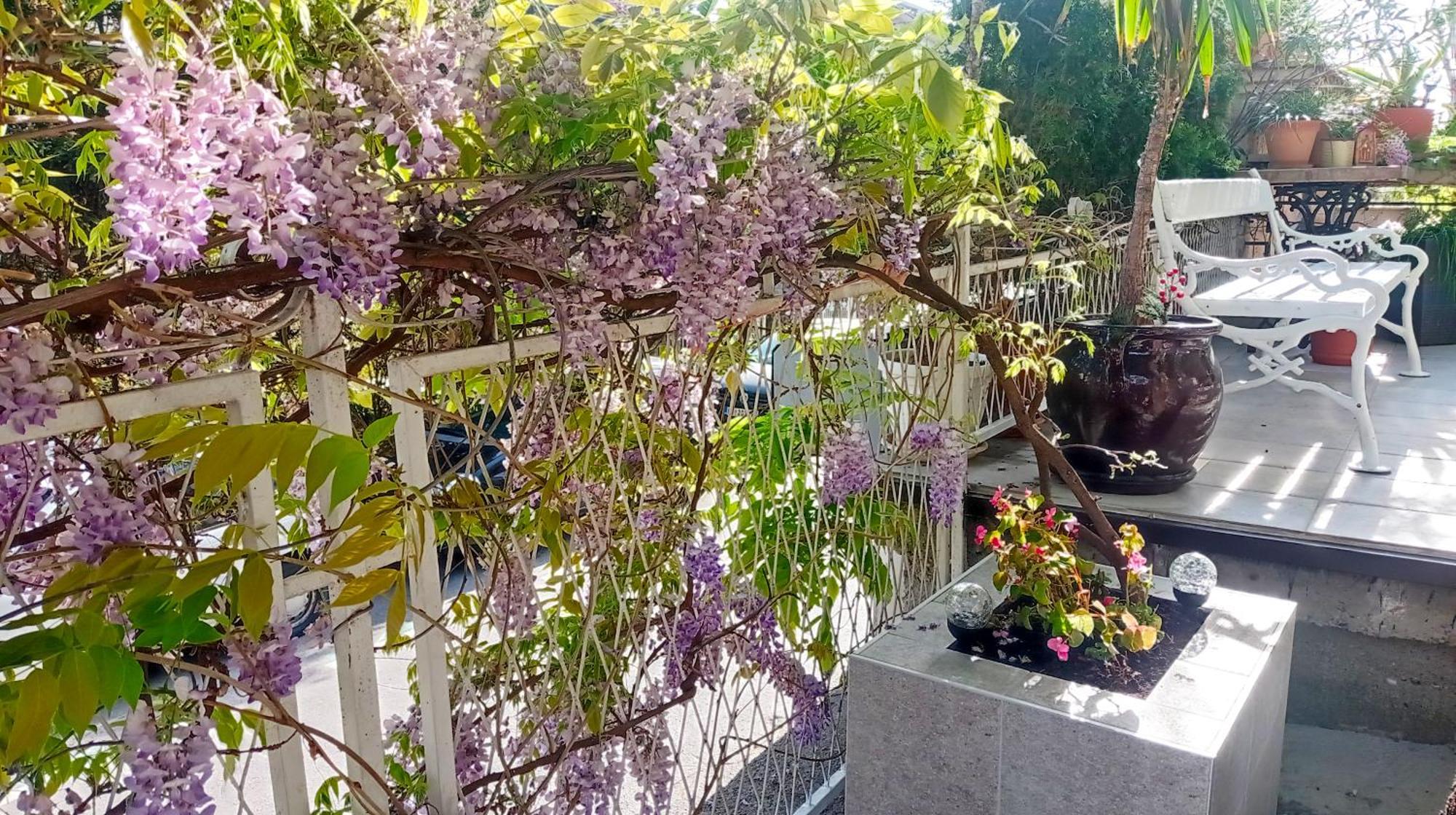 Belgrade Apartment Happy Garden المظهر الخارجي الصورة