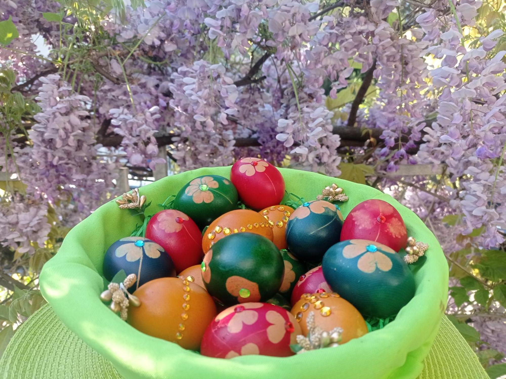 Belgrade Apartment Happy Garden المظهر الخارجي الصورة