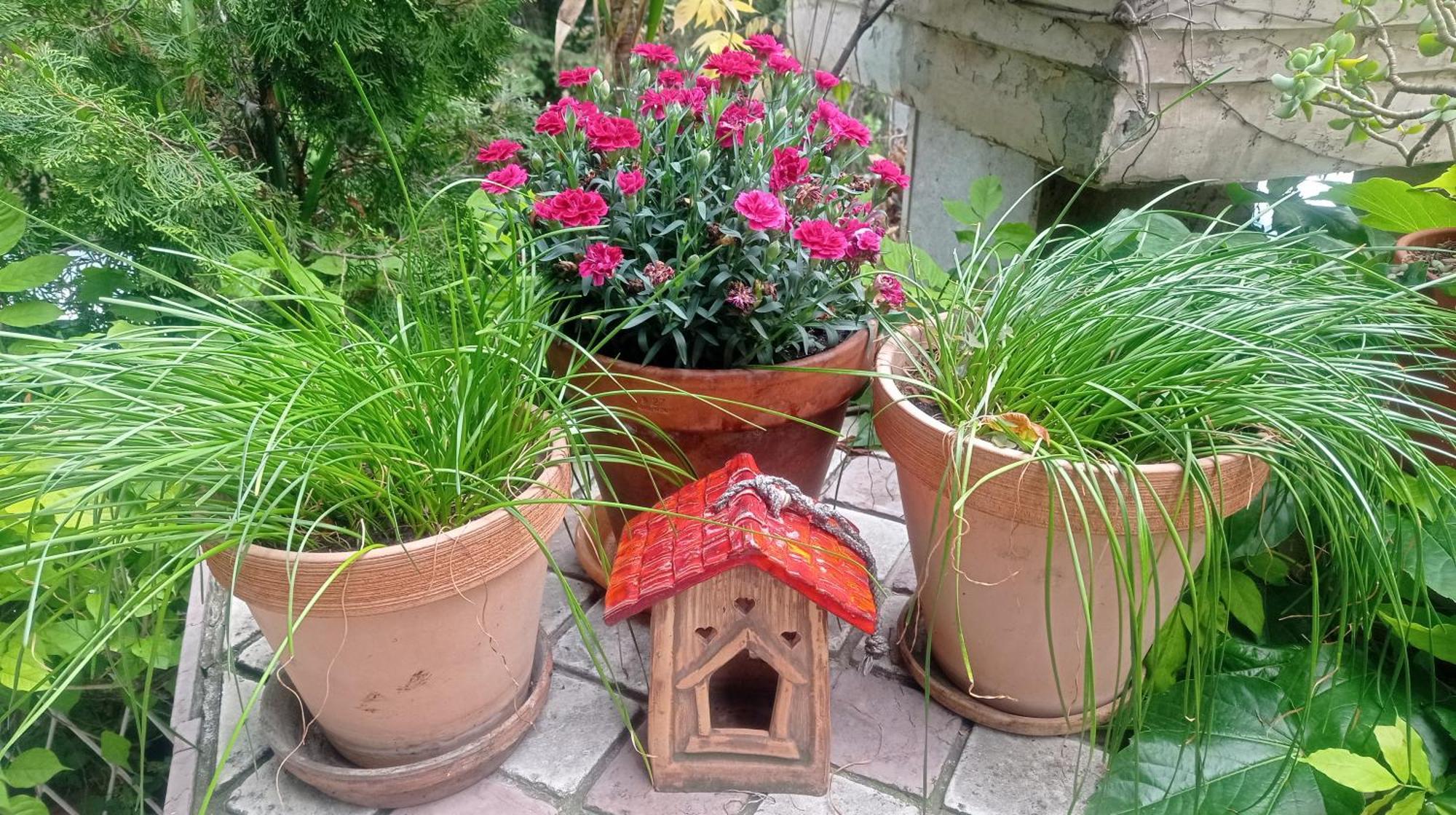 Belgrade Apartment Happy Garden المظهر الخارجي الصورة